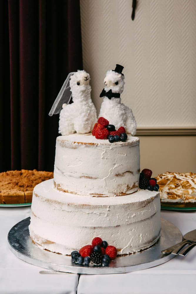 Wedding cake with lamas