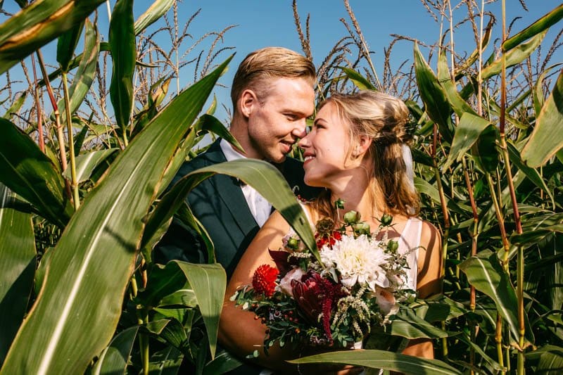 Voorbeeld trouwerijen bekijken - Een echtpaar staand in een maïsveld.