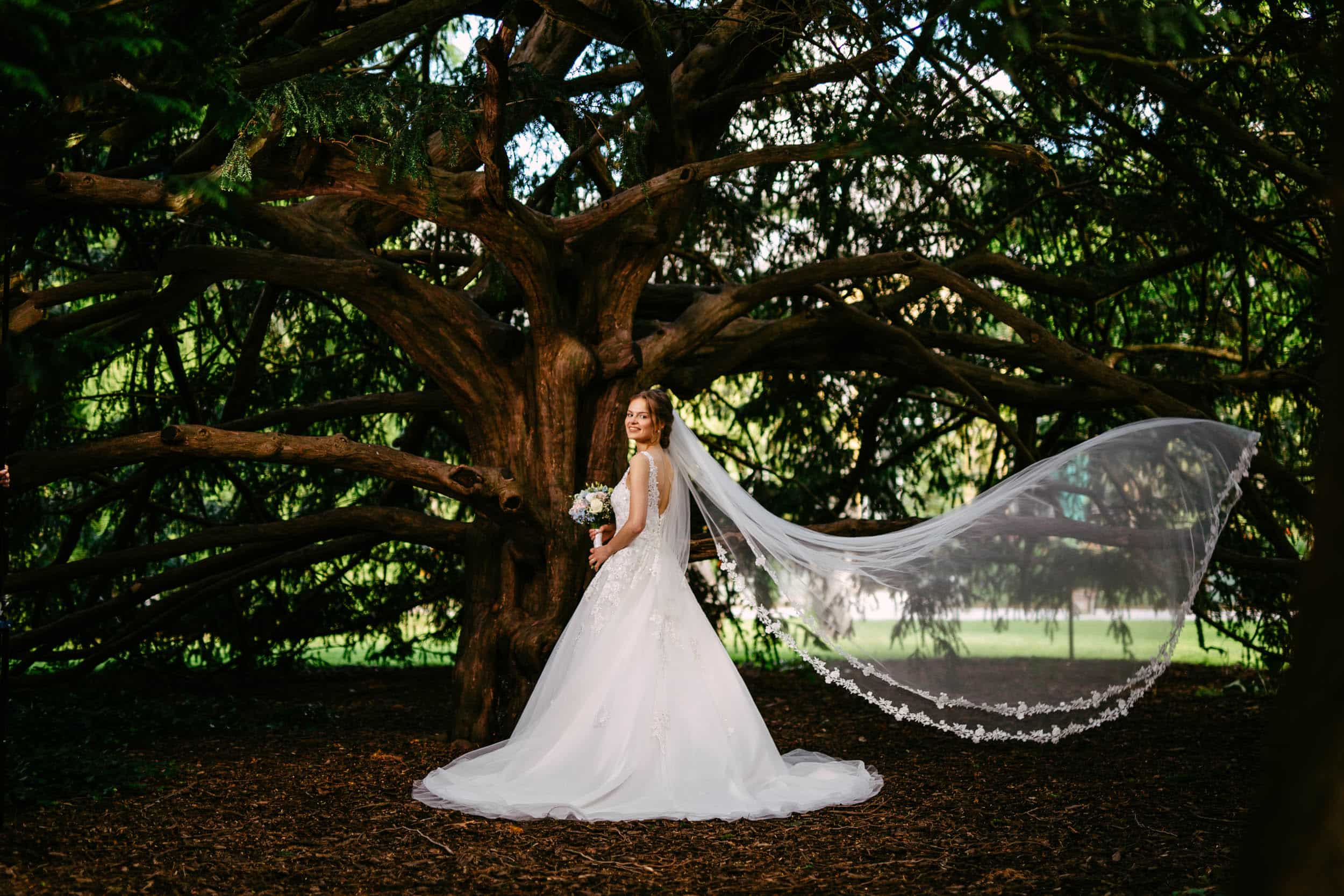 A bride poses with her veil in front of a tree at the Wedding Botanical Garden Delft.
