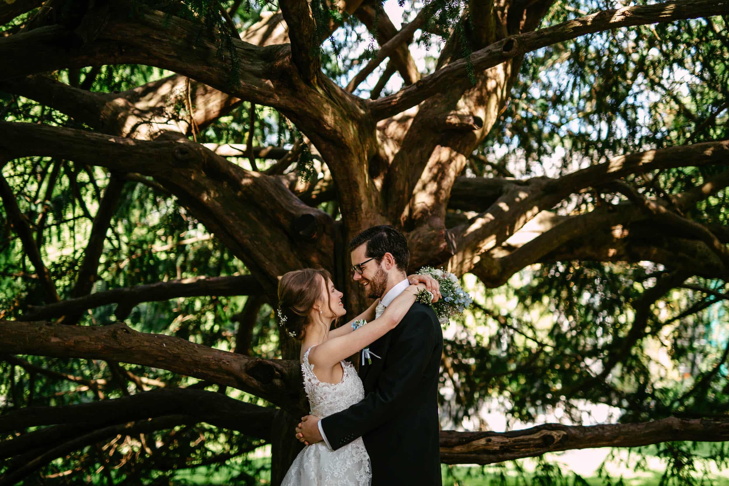 Een koppel omhelst elkaar onder een grote boom bij hun Trouwerij in de botanische tuin delft.