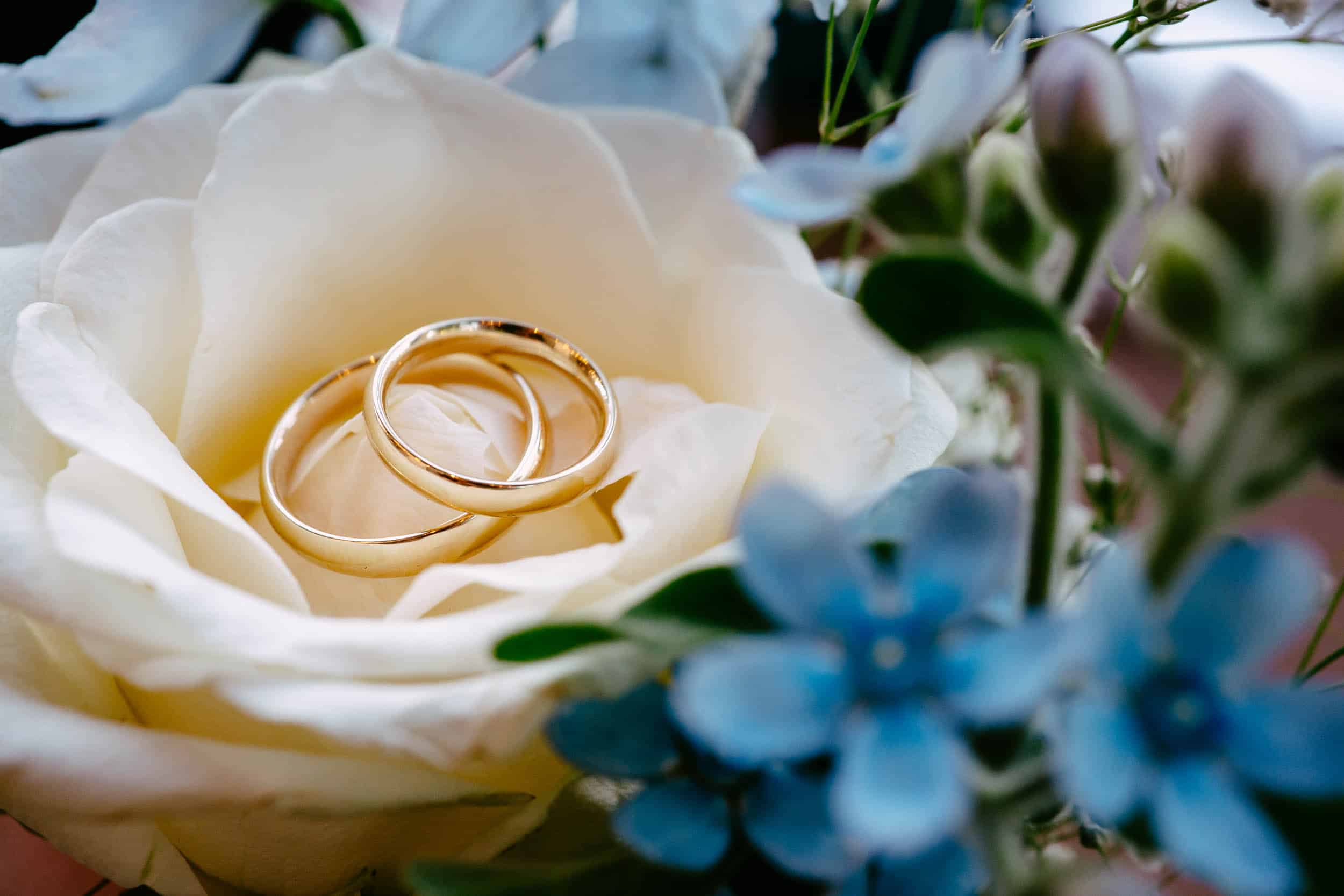 Wedding with two wedding rings in a botanical garden bouquet.