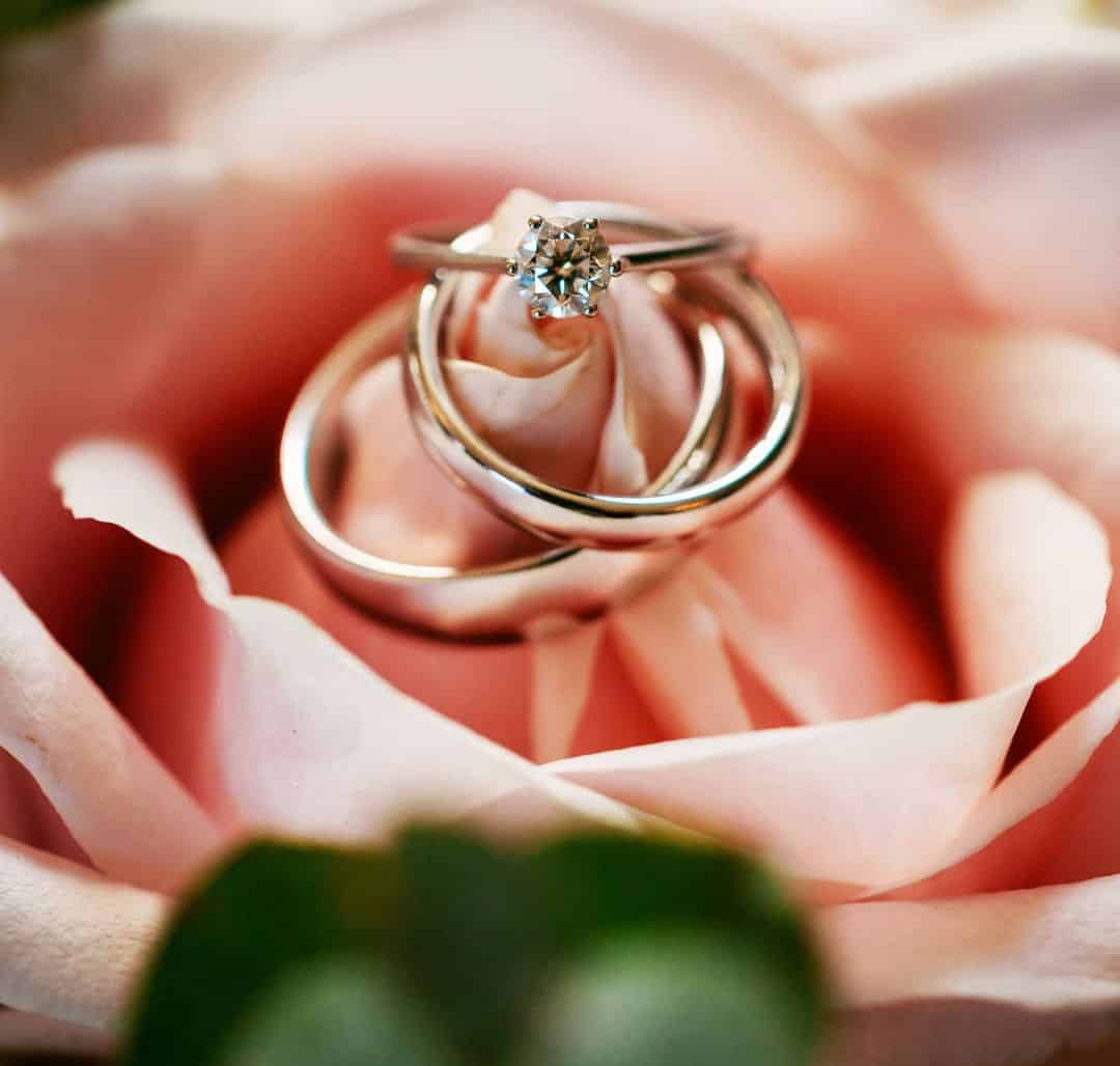 A wedding ring sits atop a pink rose.