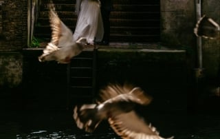 Een bruid en bruidegom met duiven die om hen heen vliegen, die de essentie van hun gelukzalige huwelijk vastleggen.
