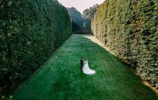 Beschrijving: Trouwfoto's van een bruid en bruidegom in het midden van een heg.