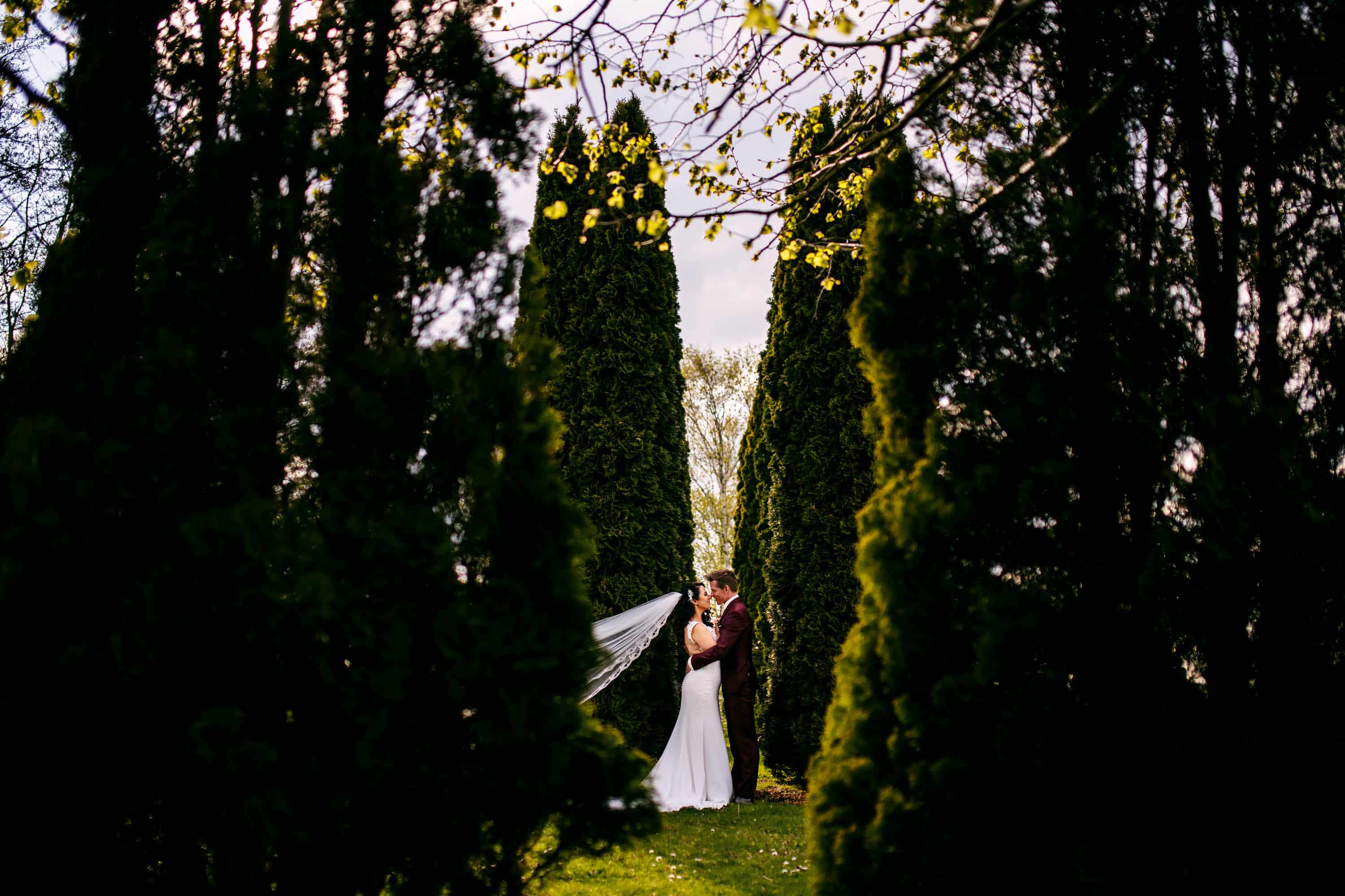 A bride and groom stand in the middle of a grove of trees.