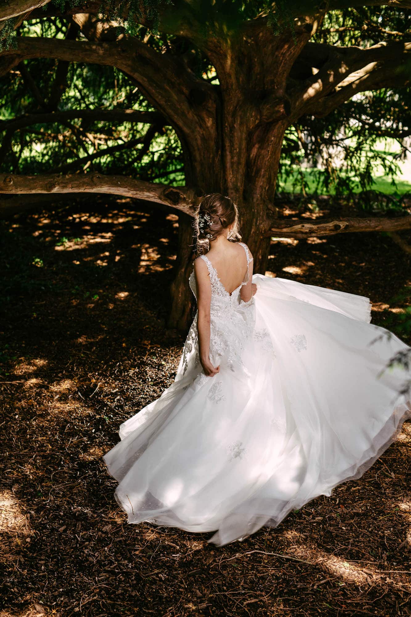 A bride in an A-line wedding dress stands under a tree.