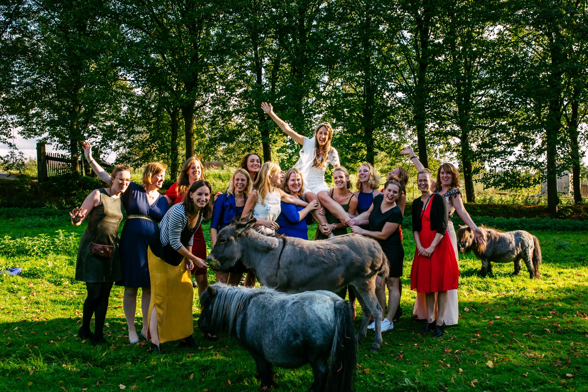 Een groep vrouwen begint met ezels in een veld te poseren om hun bruiloft te plannen.