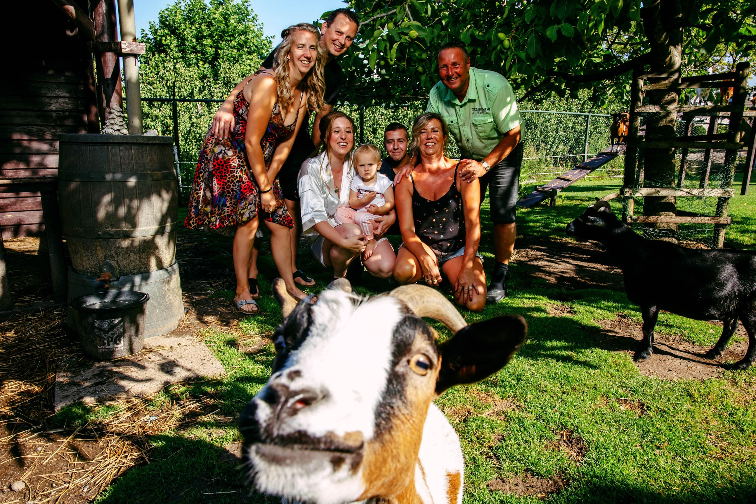 A group of people pose for a photo with a goat during special wedding photos.