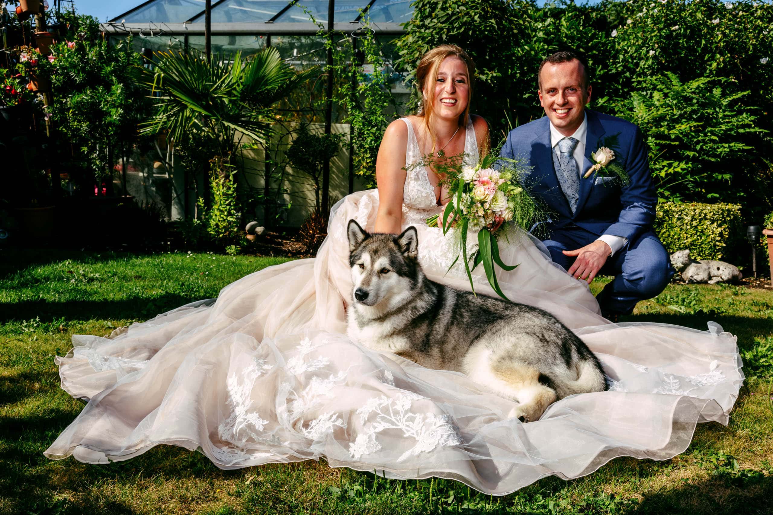 Een bruid en verleidelijke met een husky op hun dierenbruiloft.