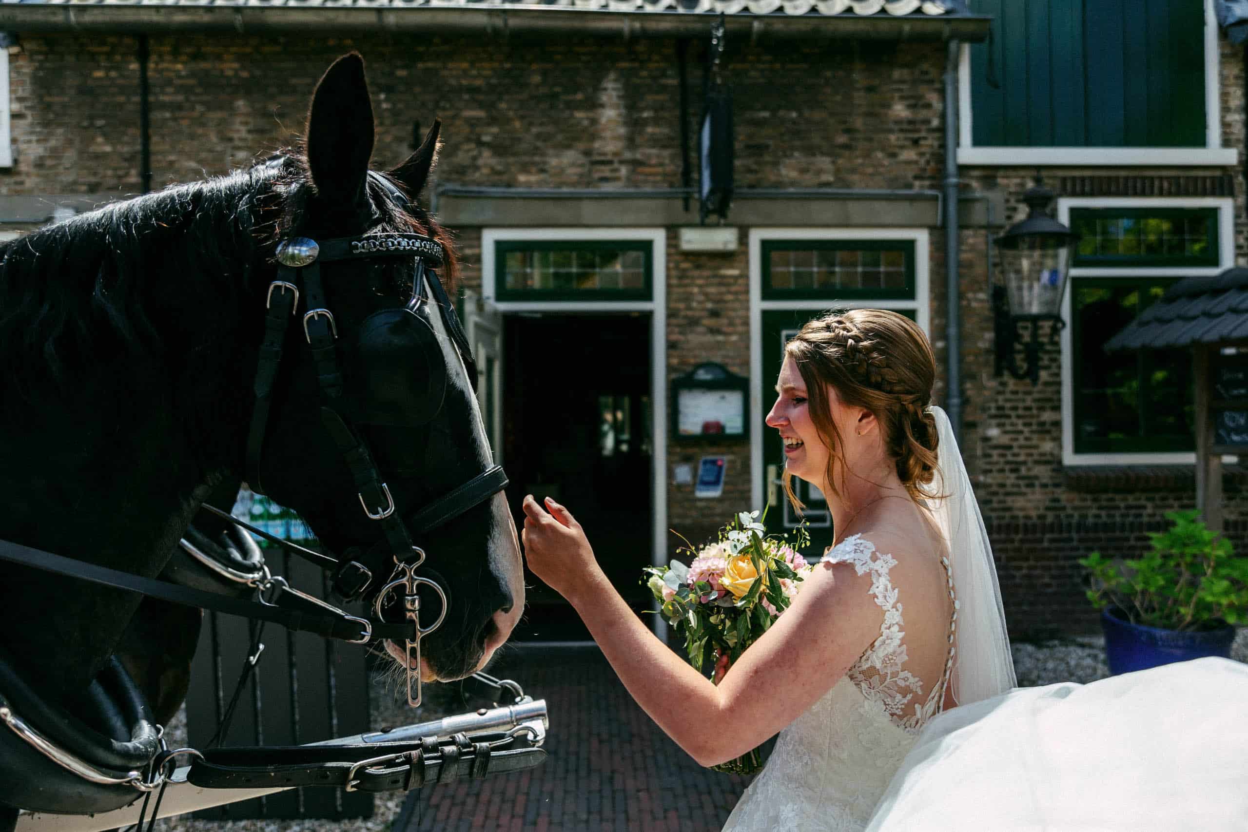 Een bruid aait een paard voor een pand tijdens een dierenbruiloft.