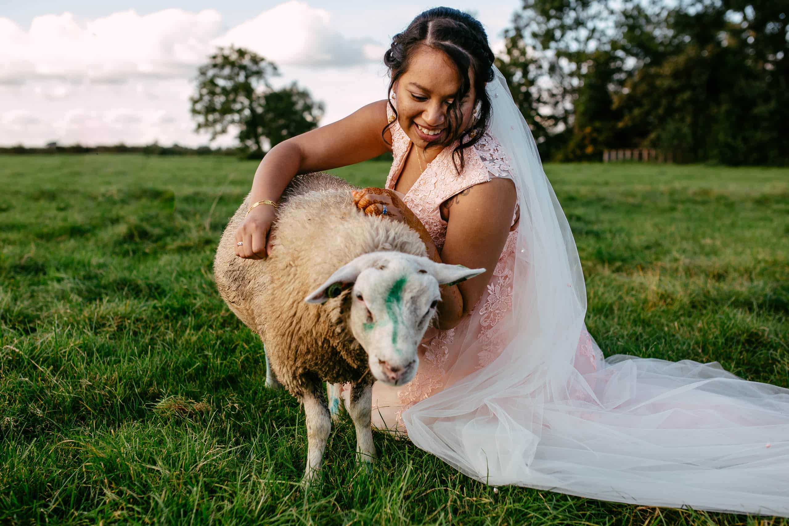 Een bruid die een schaap aait tijdens een dierenbruiloft in een veld.