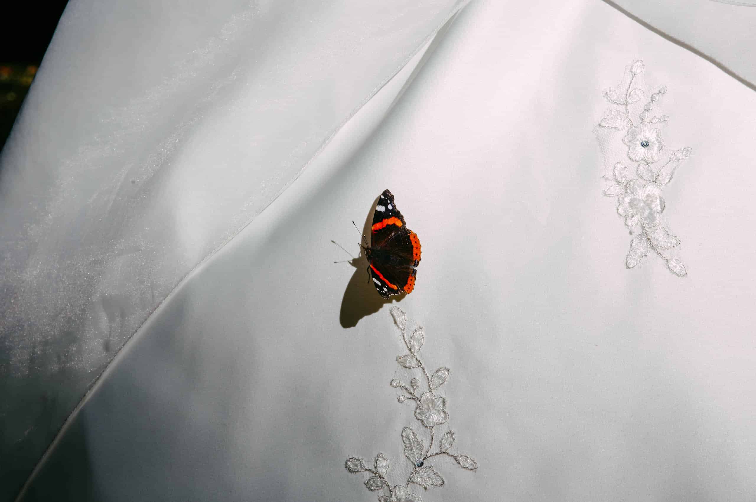Tijdens een dierenbruiloft strijkt een prachtige vlinder sierlijk neer op een prachtige witte jurk.