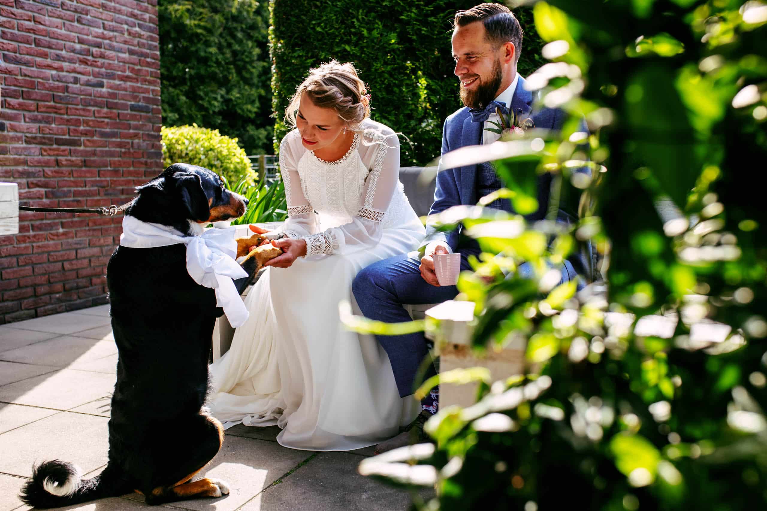 Een bruid en bruidegom met een hond invloed op een patio.