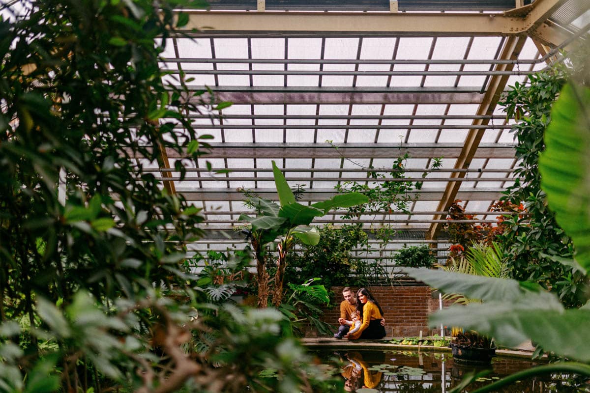 A couple poses for their Maternity shoot in a greenhouse surrounded by lush plants.