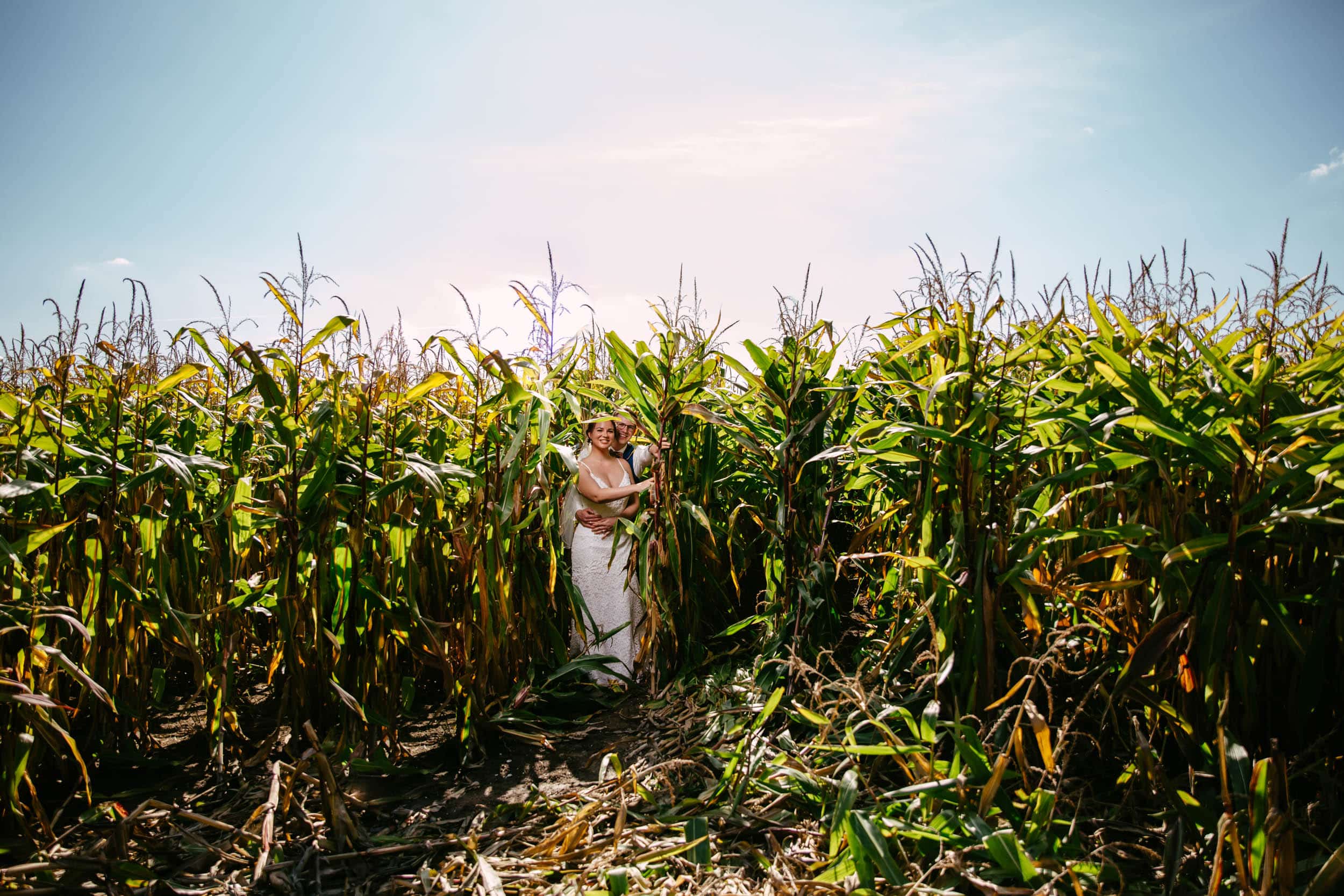 Een bruid en bruidegom staan in een maïsveld, omringd door de natuurlijke elementen.
