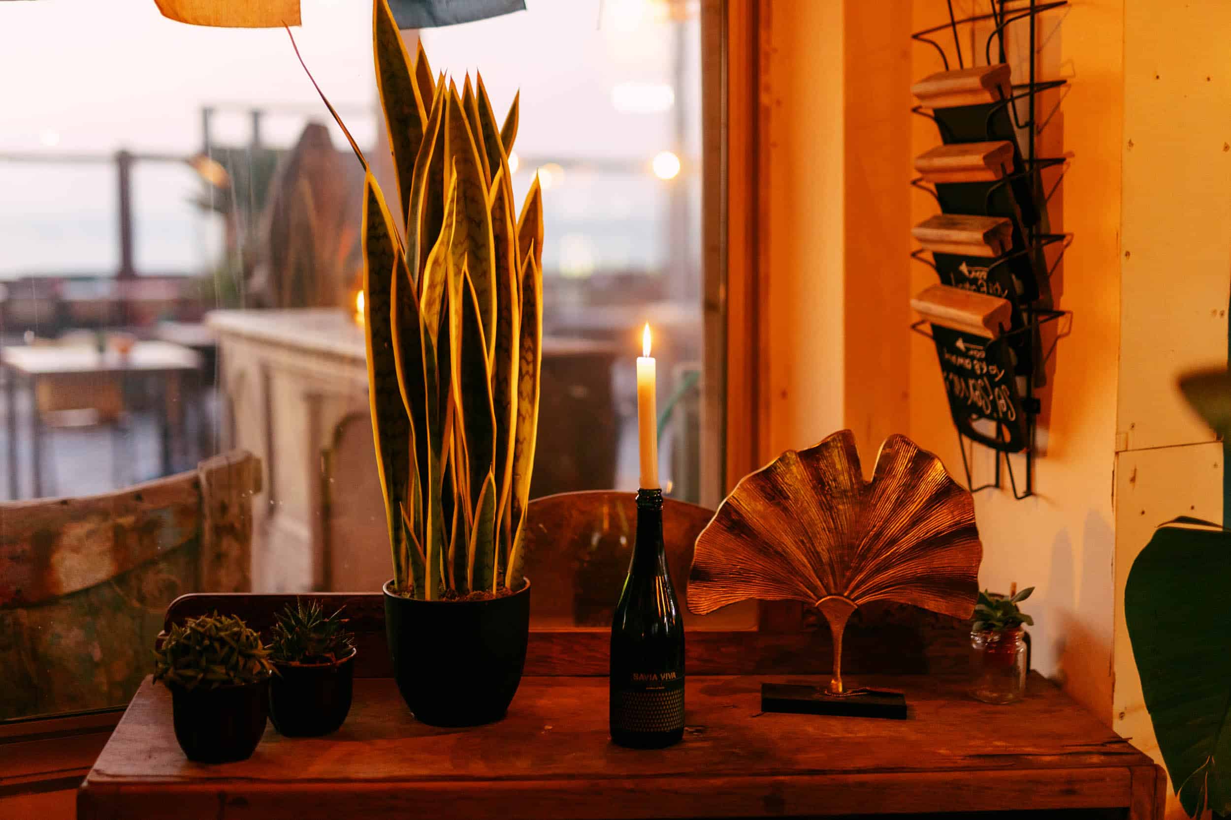 Een kaars op tafel naast een potplant, waardoor een rustige sfeer ontstaat met elementen uit de natuur.