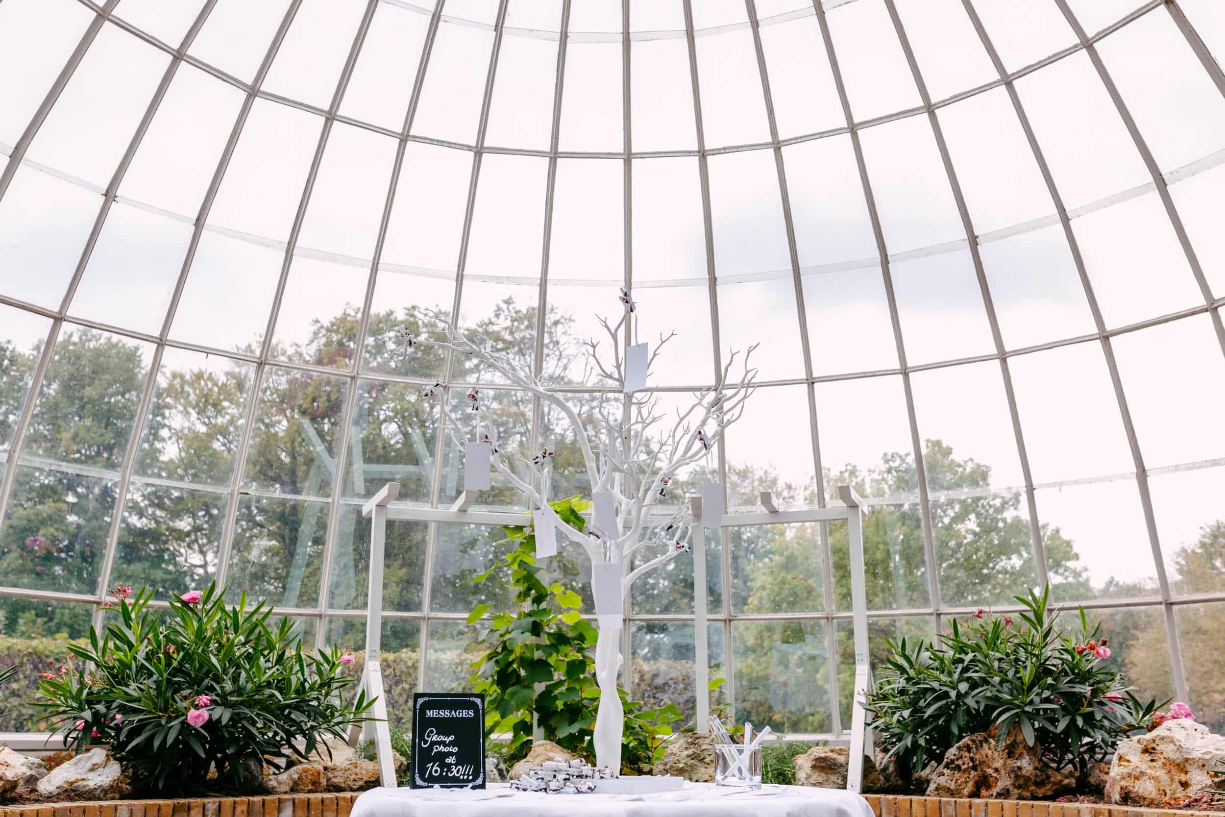 In an Orangery, a table is set up in a greenhouse.